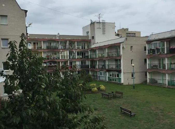 公寓 Musniety Sloncem 索波特