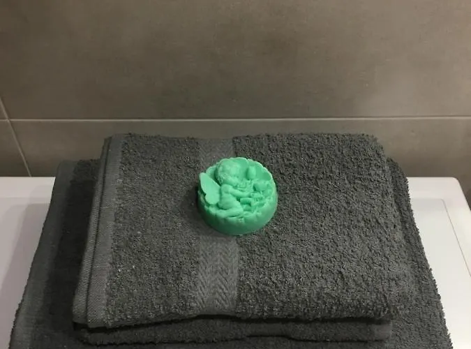 公寓 Musniety Sloncem 索波特